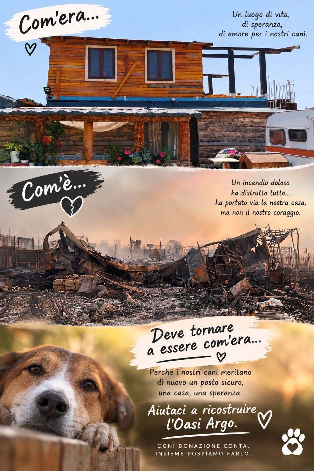 L'OASI ARGO è stata incendiata e ora ha bisogno di tutti voi per ricominciare