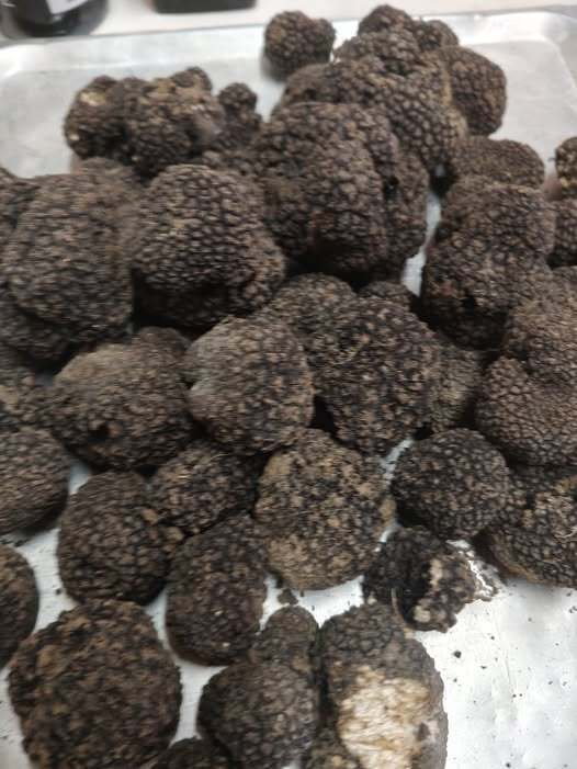 Finferli e tartufi all'osteria La Maestà
