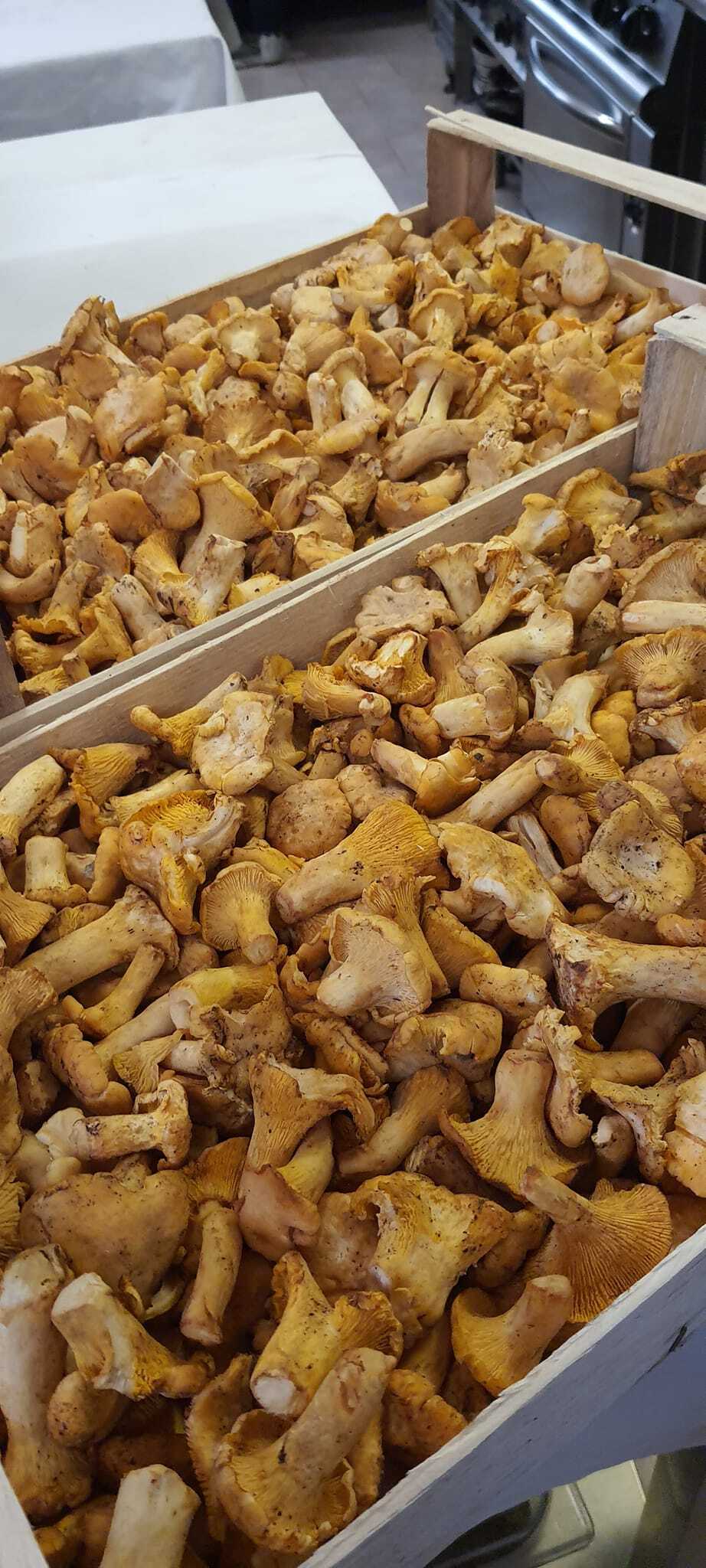 Voglia di funghi? All'osteria La Maestà piatti a base di finferli